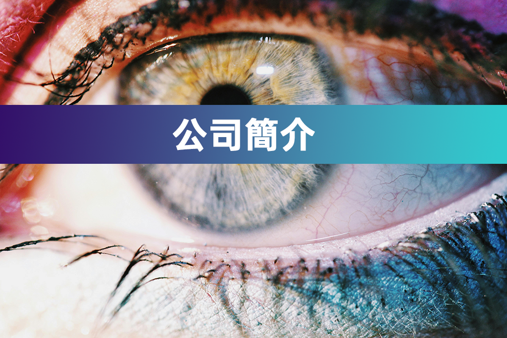 公司簡介